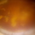 El cooksnap de vanina cuando hizo Torta de manzana invertida.