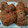 El cooksnap de xiexieru cuando hizo Cookies súper fácil, pocos ingredientes geniales!!!.