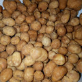 Cooksnap dari Vivi Septiani Rahayu untuk resep Kacang telor renyah