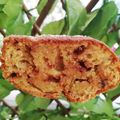 Cooksnap από Vasia στη συνταγή Μπανανόψωμο