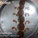 Kirtana Pathak's cooksnap of when they made રાગી અને વેજીટેબલ ના ડાયેટ ચીલા અને મુઠીયા.