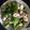就愛動手做-詩婷 的 青椒炒透抽 cooksnap