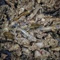 Cooksnap dari Wulan untuk resep Dangkot (Ayam)
