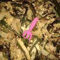 Haatha_Khunti's cooksnap of when they made ভিন্ডি ভুনা (bhindi bhuna recipe in bengali).