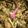 Haatha_Khunti's cooksnap of when they made ভিন্ডি ভুনা (bhindi bhuna recipe in bengali).