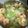 睿睿 的 絲瓜蝦仁炒蛋 cooksnap