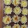 Cooksnap dari Wulan Damayanti untuk resep Pie Susu Ekonomis
