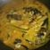 Cooksnap dari Wiwin Setyoreni untuk resep Gulai ikan patin