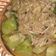 Cooksnap dari dds untuk resep Labu siram Jamur Enoki