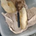 El cooksnap de Spikermanpablo8 cuando hizo Tortas fritas.