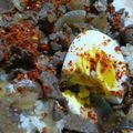 Cooksnap dari nisakputri untuk resep Gyudon (beef bowl seperti Yoshinoya)