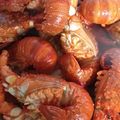 Cooksnap dari Syahritem untuk resep Lobster cilacap dimasak saus tiram