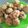 Cooksnap dari Murty Setiawan untuk resep Bola Bola Tempe / Bukan Nugget Tempe #MenuSehatAnak