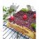 Cooksnap dari Ardhaniluvnabva untuk resep Bolu Jadul