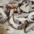 El cooksnap de cris cuando hizo Rosquitas o roquillas dulces.