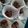 Cooksnap dari Riko Marendra untuk resep Kue kering Coklat Chococrunch
