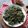 Cooksnap dari Wilda Wily untuk resep Bayam Crispy ala Resto