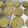 runsteady's cooksnap of when they made Cake Mix Birthday Cake CookiesOr Holiday cake cookies.