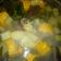 Cooksnap dari Yurike Bunda Daiva untuk resep Sayur Asem Simpel