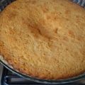 El cooksnap de Alicia Zapata cuando hizo Budín de limón o naranja.