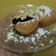 Cooksnap dari Ami untuk resep Roti goreng isi coklat