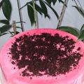 Cooksnap dari wirdatul kfs untuk resep Puding busa