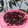 Cooksnap dari wirdatul kfs untuk resep Puding busa