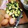 El cooksnap de Eduardo Perdomo Oleaurre cuando hizo Zapallitos revueltos.