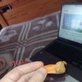 Cooksnap από 🍝🍕miss Marmelade(Στέλλα+Βαλέριο)🍩🥐 στη συνταγή Σνακ με φρούτο και φυστικοβούτυρο
