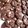 Cooksnap dari Ummu Fatimah untuk resep Choco Cashew Cookies
