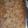 ukwannanesbit's cooksnap of when they made Magick bars.