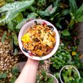 Cooksnap dari yasinta untuk resep Telor Ceplok ala Pontianak