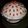 scouch.8's cooksnap of when they made Candy corn cake.