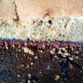 Cooksnap από meli_kanela στη συνταγή Super Light Vanilla-Chocolate Cake