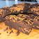 Cooksnap dari blobi untuk resep Brownies Panggang Fudge