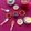 Shweta Shah's cooksnap of when they made મેથી નો મસાલો (Methi Masala Recipe In Gujarati).