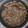 El cooksnap de angelp cuando hizo Arroz con pollo y setas.
