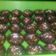 Cooksnap dari Mey untuk resep Choco-Rolled Oat Peanut alias Oat-Kacang Bersalut Coklat