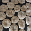 El cooksnap de Mell 1708 cuando hizo Bizcochitos salados.