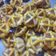 Cooksnap dari Indry Spt untuk resep Nastar (keranjang nanas)