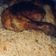 صورة من Huda ..🌸 ، شاركها بعد تجربة وصفة دجاج 🍗 محشي بالفريكة ☺😋