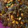 Cooksnap dari Dapur Ima untuk resep Sambal Goreng Teri Kacang