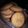 El cooksnap de @abegacook cuando hizo Galletitas navideñas sin gluten /apta celíacos / Sin Tacc.