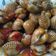 Cooksnap dari Maslichatun Umami untuk resep Kerang dara bumbu saos padang