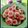 Cooksnap dari Indriee untuk resep Strawberry Cheese Thumbprint Cookies