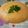Cooksnap από velissa στη συνταγή Καροτόσουπα