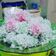 Cooksnap dari Wahyu Widya untuk resep Resep klepon tradisional