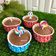 Cooksnap dari Wiwin088 untuk resep Vanilla cupcake