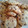 El cooksnap de Monica Sanchez Carrasco cuando hizo Galletas con pepitas de chocolate.