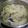 潘俊霖的(簡單料理) 的 超辣蒲瓜蛤蜊 cooksnap